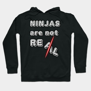 NINJAS ARE NOT REAL Hoodie